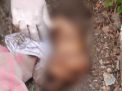 Mayat Bayi Ditemukan di Kompleks Pemakaman Mbah Ratu Surabaya