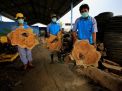 Peringati HPSN 2021, Pemkot Surabaya Terima Penghargaan dari KLHK