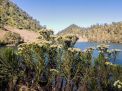Surga Kecil di Gunung Semeru itu Bernama Ranu Darungan