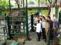 Anak Gajah Umur 2,5 Tahun Bernama Dumbo Mati di Kebun Binatang Surabaya