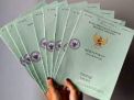 Surat Tanah Hilang? Jangan Khawatir, Begini Cara Mengurus Sertifikat Rumah yang Hilang