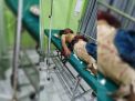 Asyik Merakit Mercon, Satu Warga di Jombang Tewas Terkena Ledakan