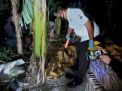 Baca juga : Belajar Racik Petasan, Kakak Beradik di PonorogoTewas karena Ledakan