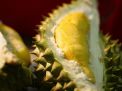 Luar Biasa! 5 Manfaat Buah Durian, Salah Satunya Bikin Awet Muda Lho