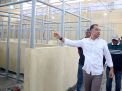 Wali Kota Eri Cahyadi Sulap Pasar Karah jadi Lebih Modern dan Bersih