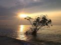 Pulau Laki, Tempat Sriwijaya Air Jatuh, Semisterius Segitiga Bermuda?