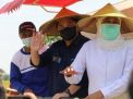 Istimewa! Panen Raya di Gresik Dihadiri Tiga Menteri dan Satu Gubernur