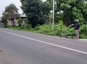 Awas ! Mojokerto Marak Penjambretan Ibu-Ibu di Jalan