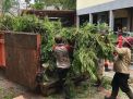 Pemkot Surabaya Olah Hasil Perantingan Pohon Jadi Kursi hingga Bahan Bakar Listrik