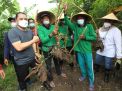 Wali Kota Eri Cahyadi Canangkan Tanggal 25 Maret Hari Padat Karya