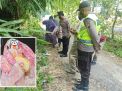 Mau Beli Nasi, Pria ini Malah Temukan Bayi yang Dibuang di Bawah Pohon