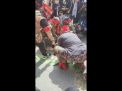 Ormas Dayak di Kalimantan Sembelih Babi di Pusat Kota, Tersinggung dengan Ucapan Edy Mulyadi