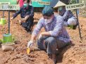 Bupati Trenggalek Dorong Jahe Merah Jadi Komoditas Unggulan
