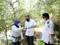 Bozem Medokan Sawah Surabaya Dikembangkan jadi Tempat Wisata, Wali Kota: Yang Jualan adalah Warga Sekitar