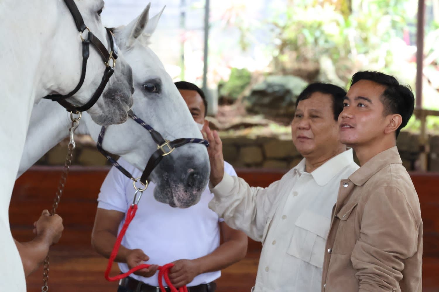 Ketua Umum Partai Gerindra Prabowo Subianto saat menunjukkan kudanya kepada Wali Kota Solo Gibran Rakabuming Raka di Bukit Hambalang, Bogor, Jawa Barat., Sabtu (18/6/2022)