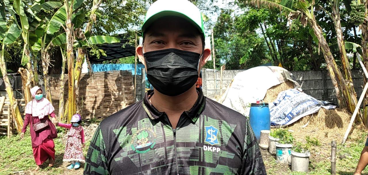 Kepala DKPP Kota Surabaya, Yuniarto Herlambang.