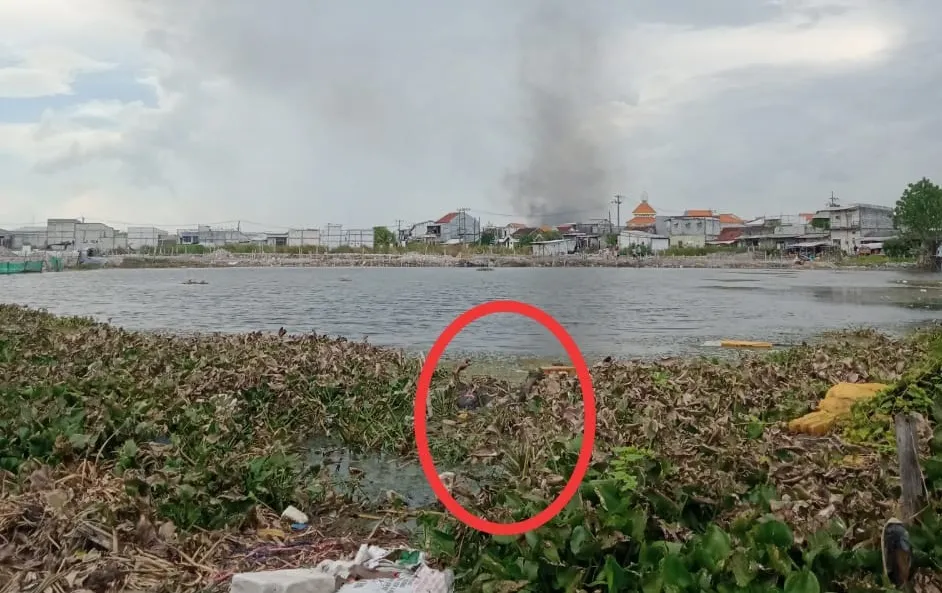 Hilang 3 Hari, Kakek 70 Tahun di Temukan Tewas Mengapung di Tambak