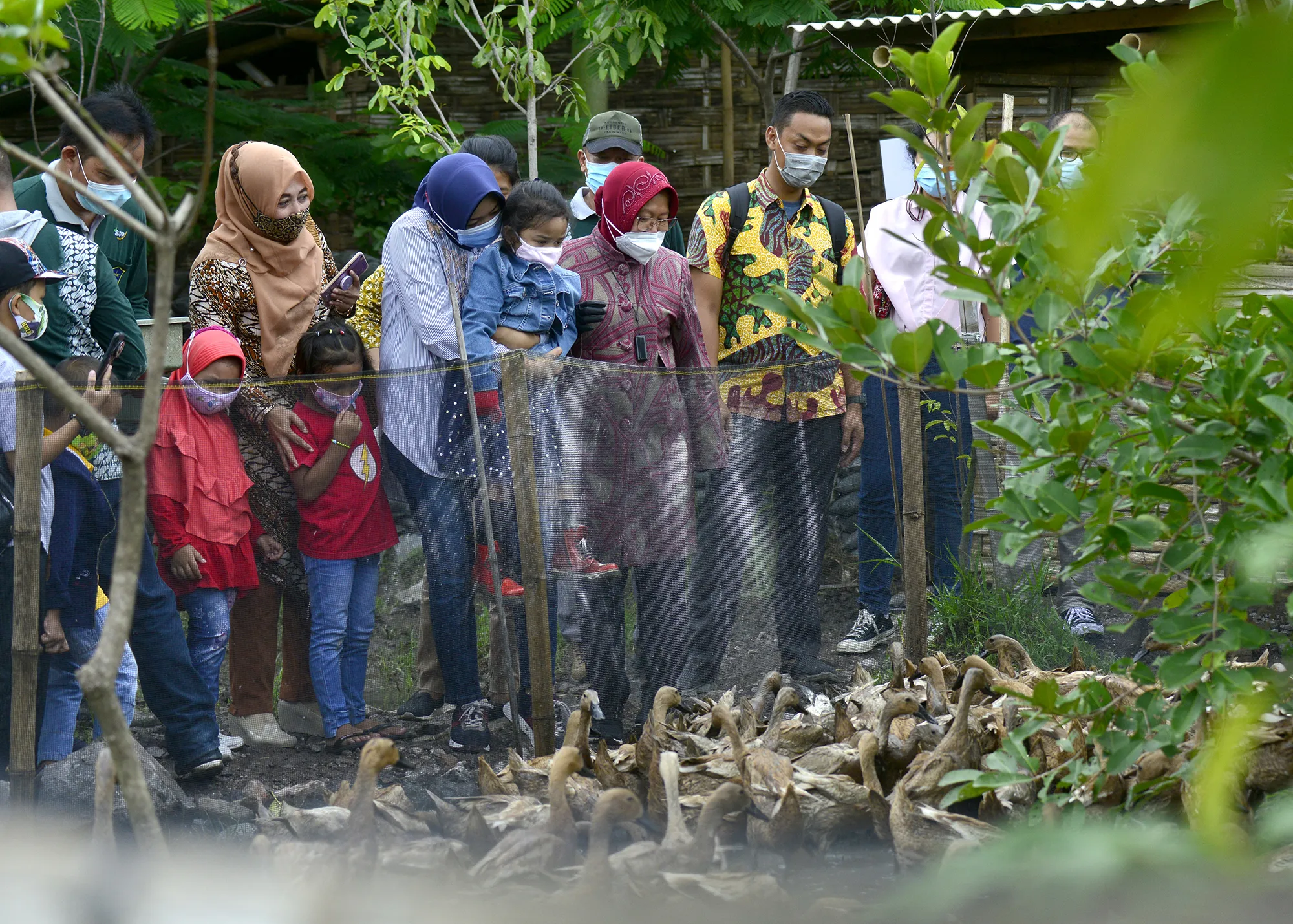 Surabaya Punya Wisata Hutan Lho... Ini Keunikannya