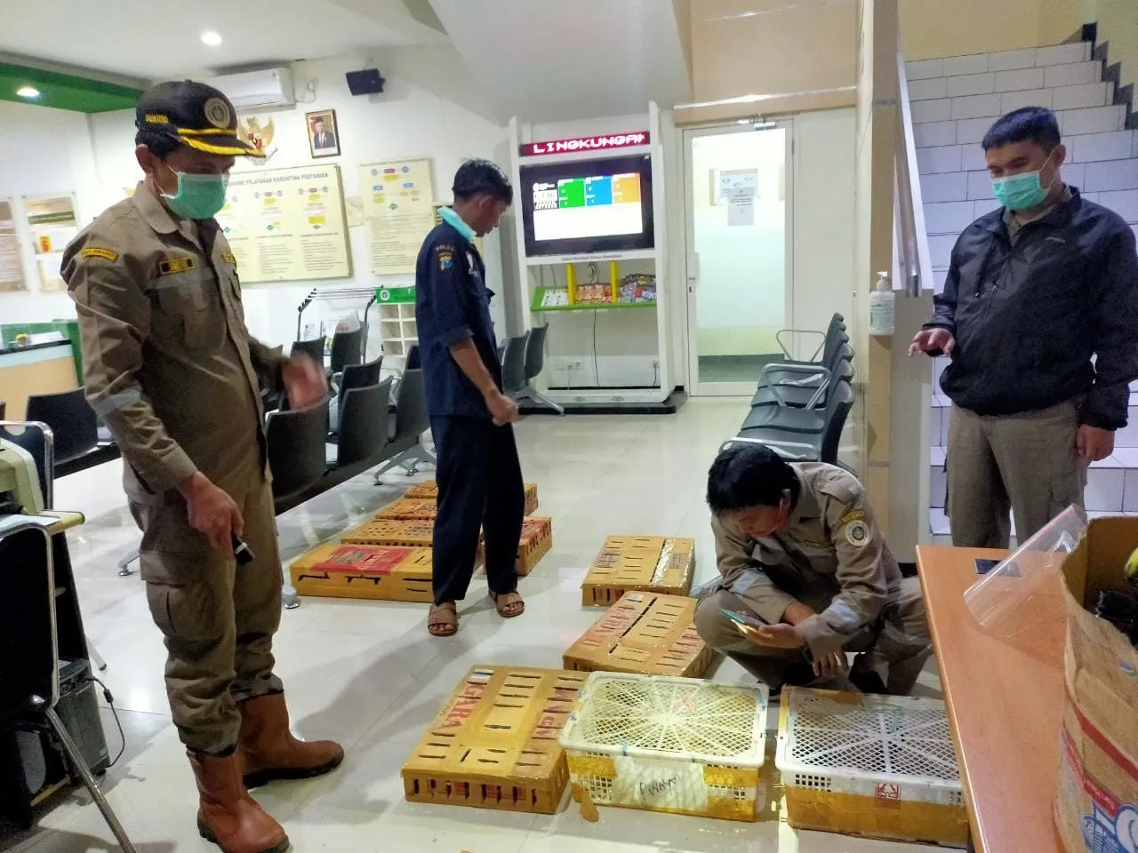 Digagalkan, Penyelundupan 380 Burung Berharga Mahal di Tanjung Perak