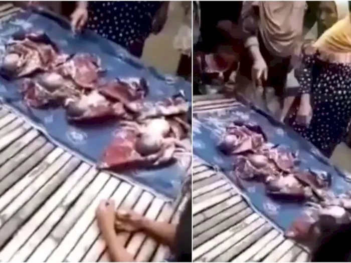 Viral, Ibu Lahirkan 4 Bayi tanpa Pertolongan, Akhirnya Meninggal