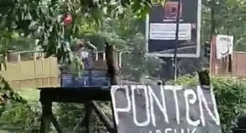 Polisi Selidiki Video Viral Aksi Bajing Loncat di Bypass Krian
