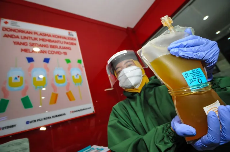 FOTO: Donor Plasma Darah Konvalesen PMI Surabaya