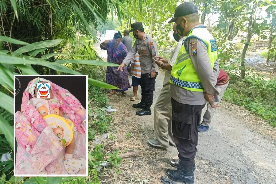 Mau Beli Nasi, Pria ini Malah Temukan Bayi yang Dibuang di Bawah Pohon