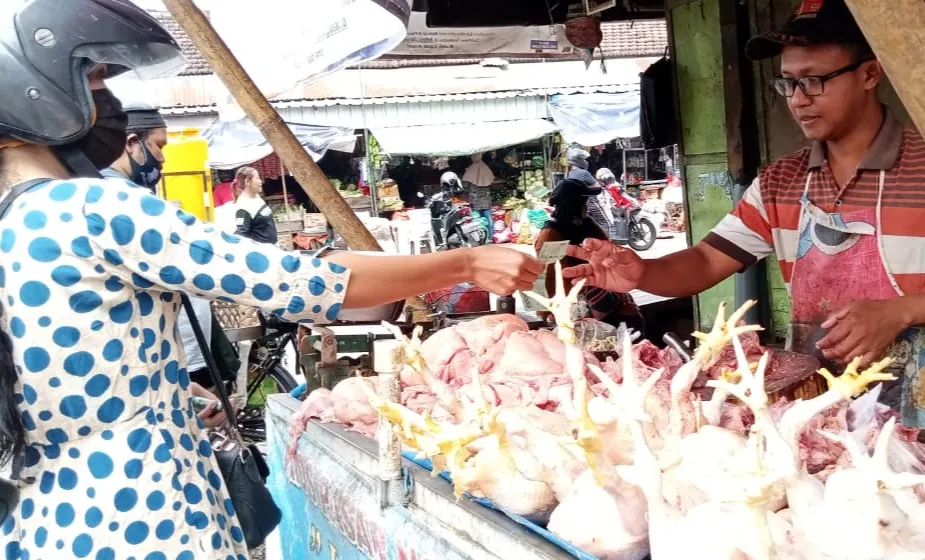 Awal Puasa, Harga Daging Ayam Melonjak