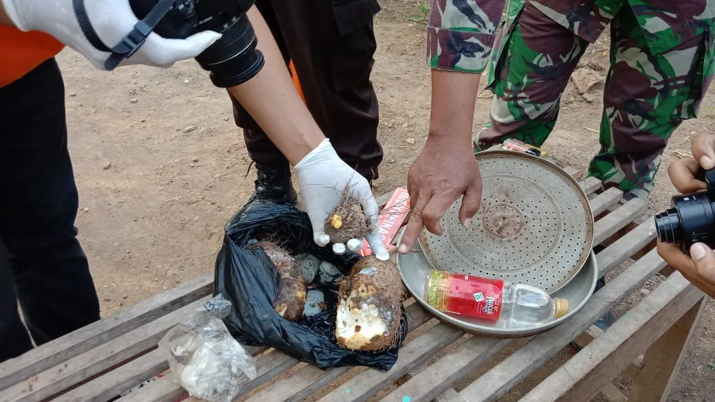 Ini Kandungan Umbi Gadung yang Sebabkan Kakek di Tulungagung Meninggal