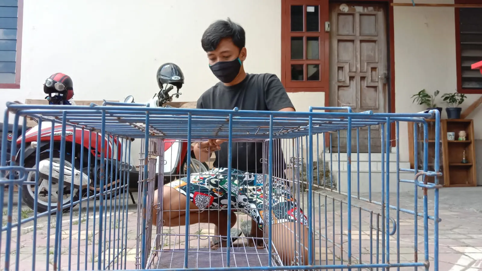 Keren! Komunitas Gulung Tukar Tulungagung Ini Buka Penitipan Hewan Peliharaan Gratis selama Pemiliknya Isoman