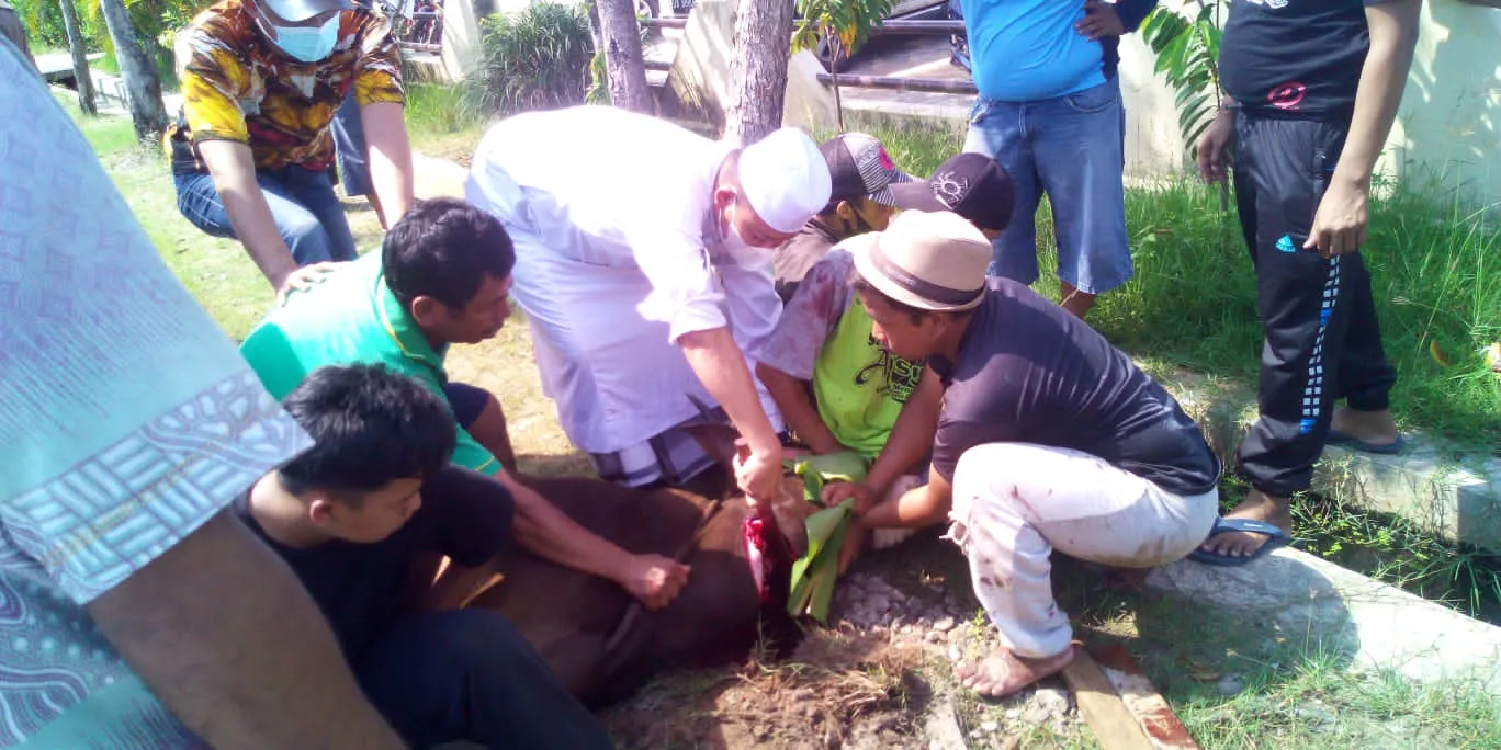 Polsek Banjarmasin Utara Potong Empat Ekor Sapi Kurban, Kompol Indra: Satu Ekor Khusus Wartawan dan Anak Yatim