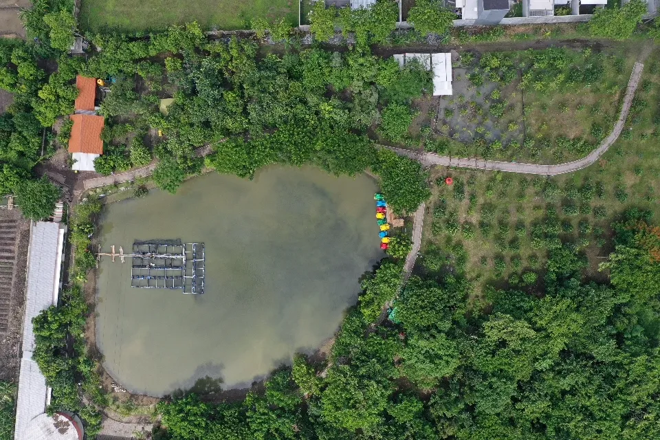 Akibat Lonjakan Covid-19, Taman Kota hingga Taman Hutan Raya se-Surabaya Ditutup