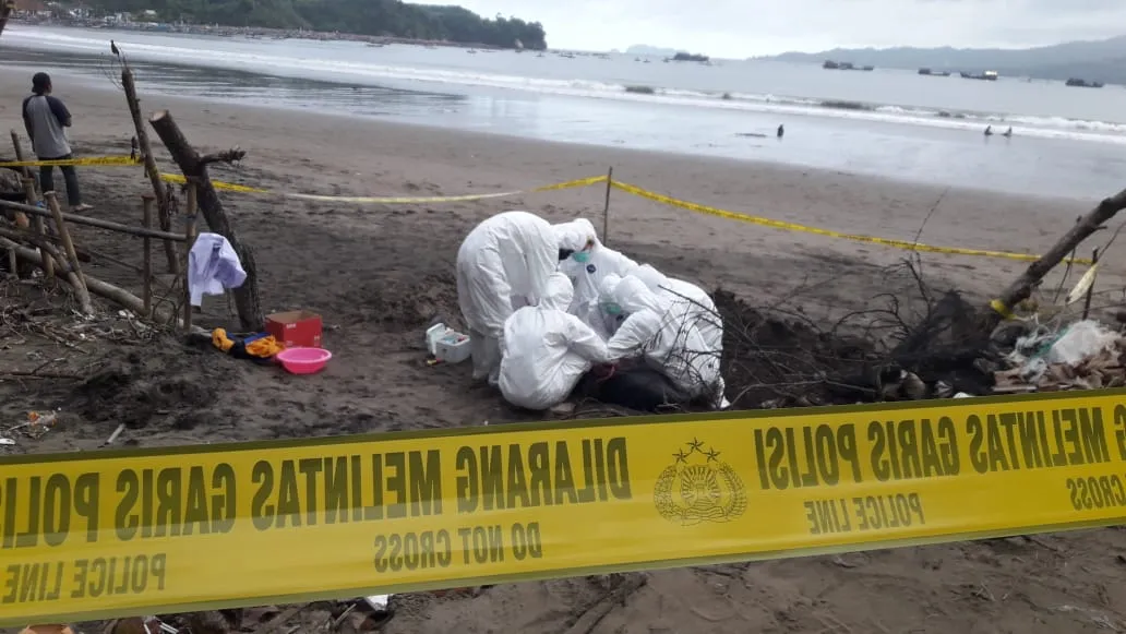 Lumba-lumba yang Terdampar di Pantai Sidem ternyata Berjenis Ini