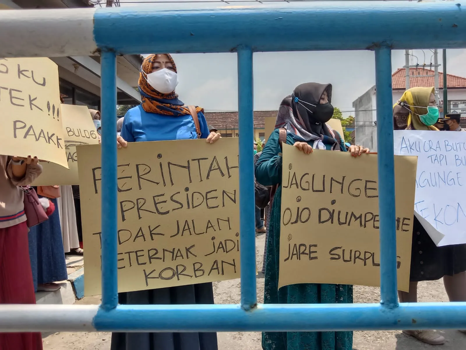 Jagung Bantuan Presiden tak Kunjung Terealisasi, Peternak Geruduk Bulog Tulungagung