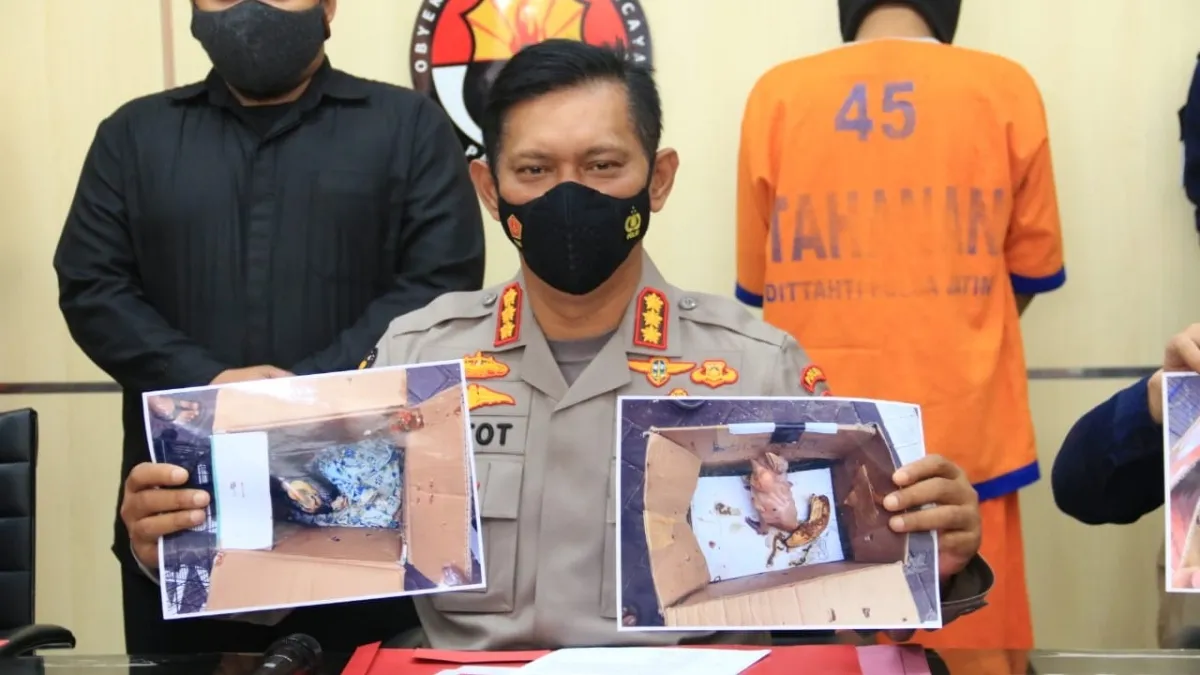 Polda Jatim Bongkar Jaringan Perdagangan Gelap Satwa Dilindungi di Tulungagung dan Jember