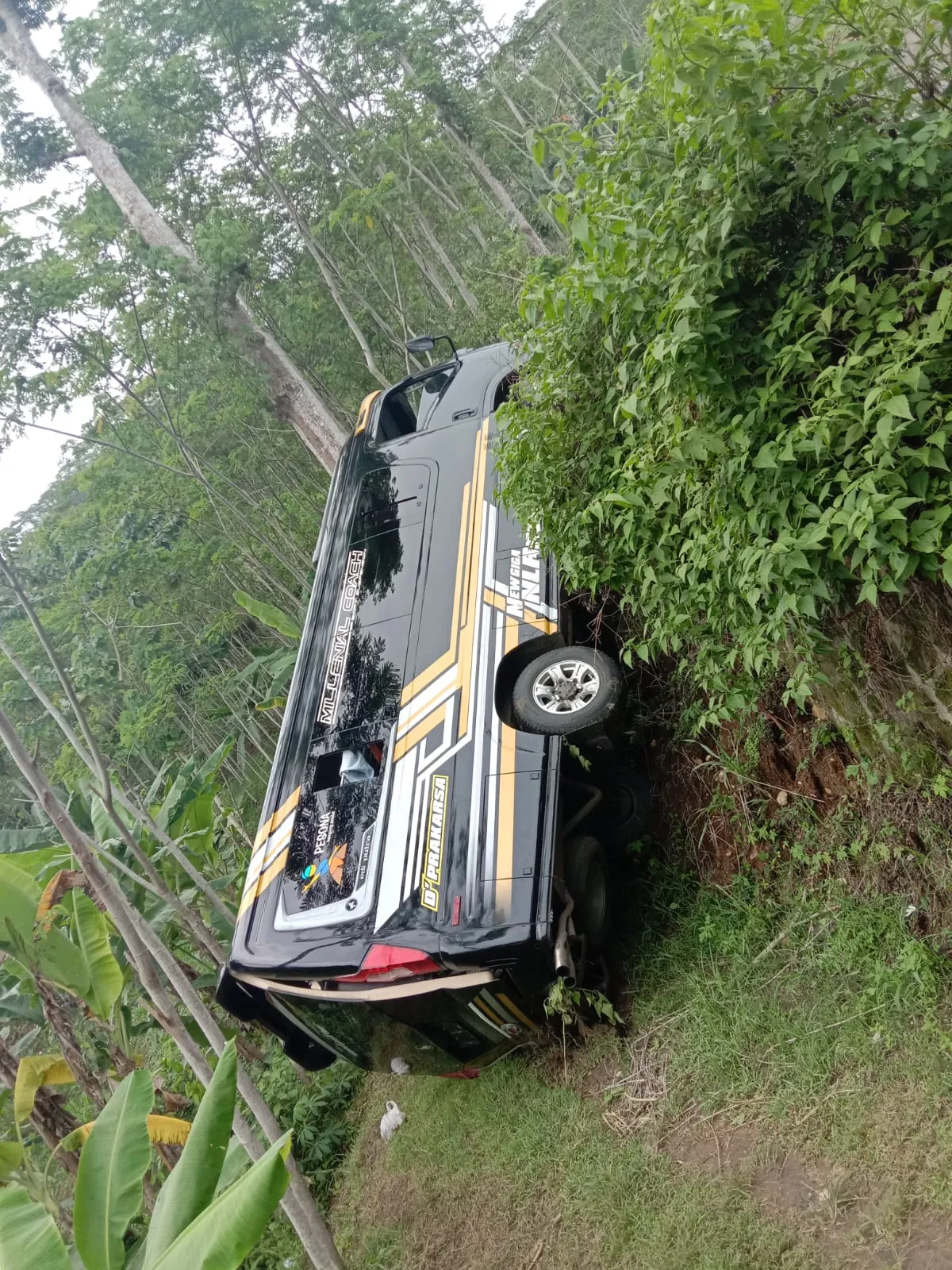 Tak Kuat Nanjak, Elf Bawa 20 Penumpang Masuk Jurang