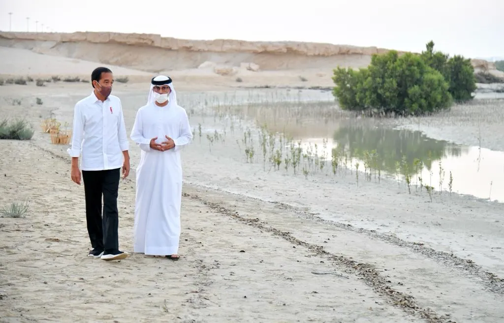 Demi Perkuat Kerjasama Indonesia-PEA, Presiden Jokowi Tanam Mangrove di Abu Dhabi 
