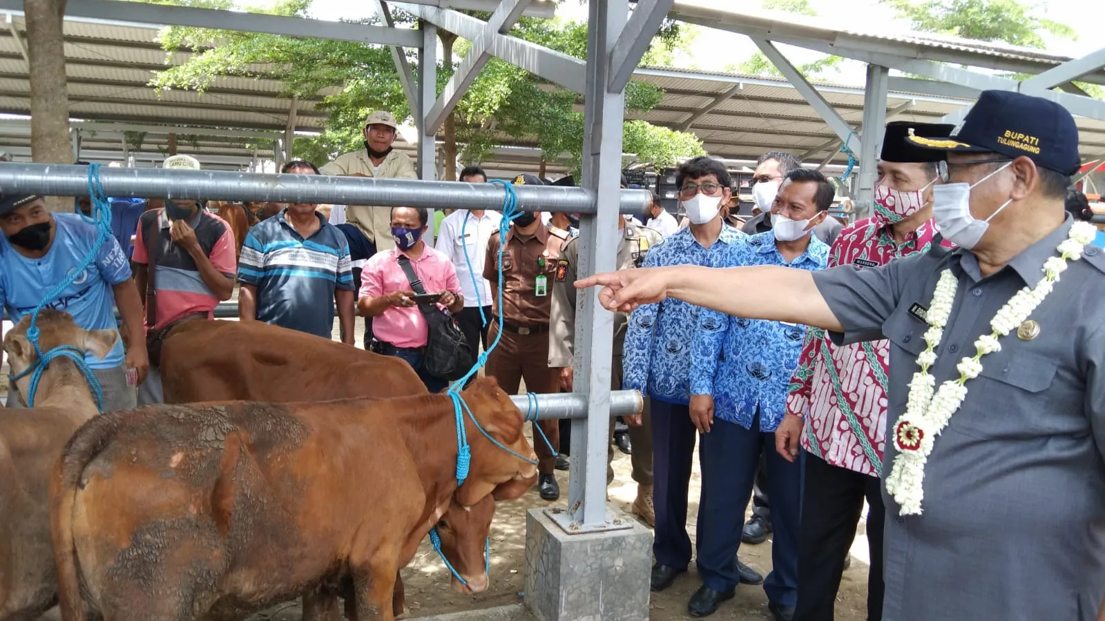PHT Tulungagung Diresmikan Bupati, Mampu Tampung Ratusan Sapi dan Kambing