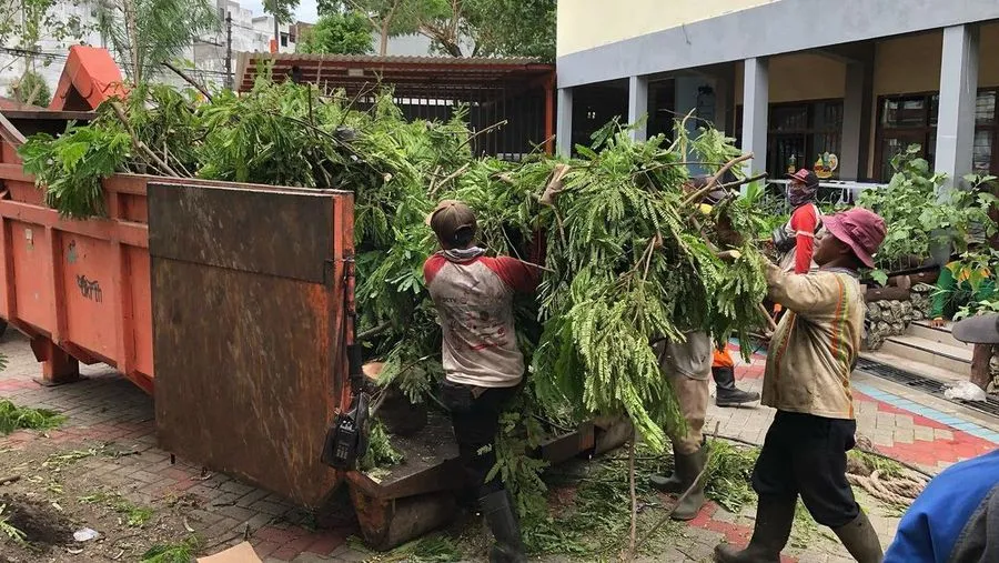 Pemkot Surabaya Olah Hasil Perantingan Pohon Jadi Kursi hingga Bahan Bakar Listrik