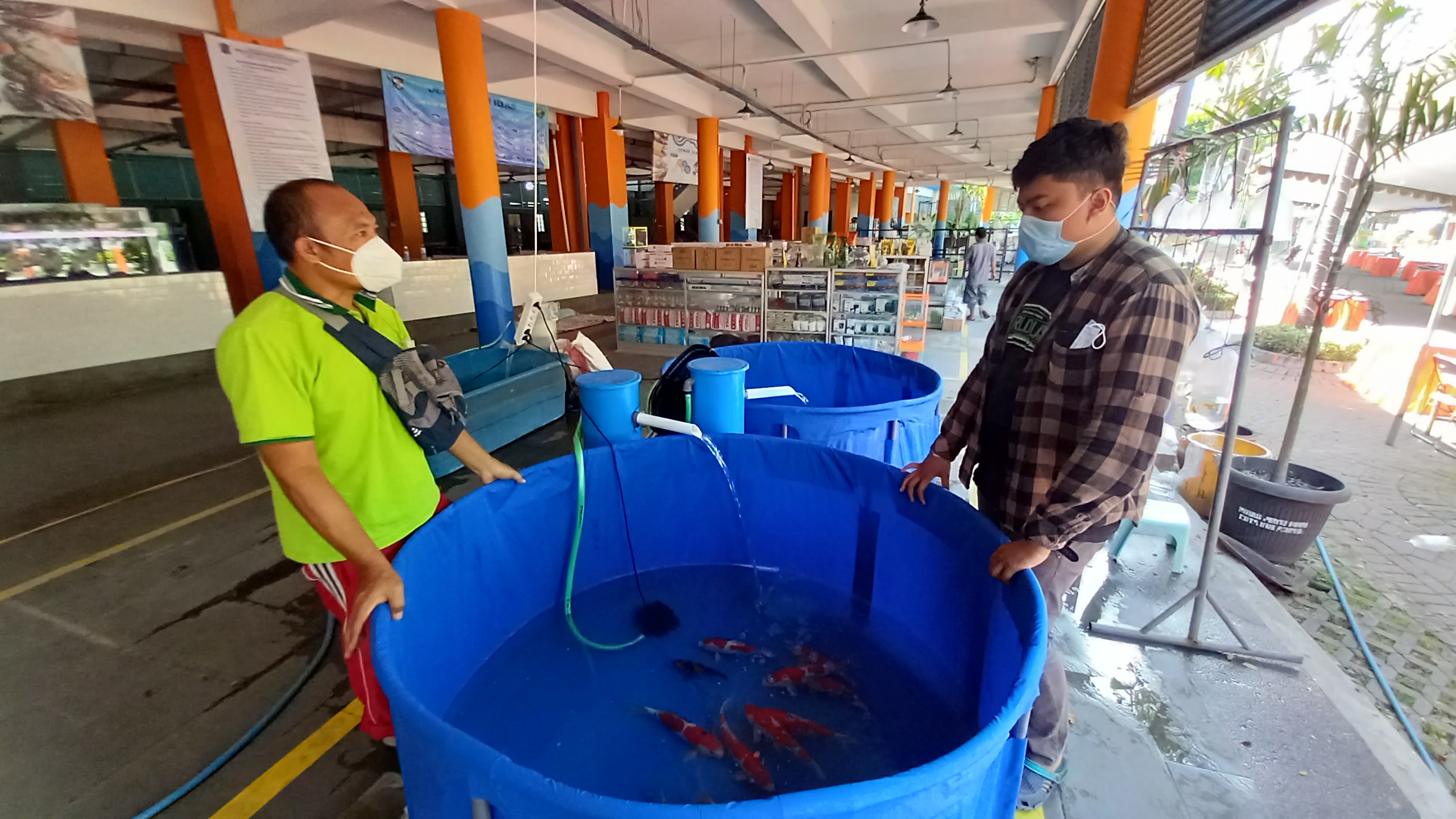 Suryanto, salah satu pedagang ikan di Sentra Ikan Bulak menjelaskan jenis ikan kepada salah satu pengunjung