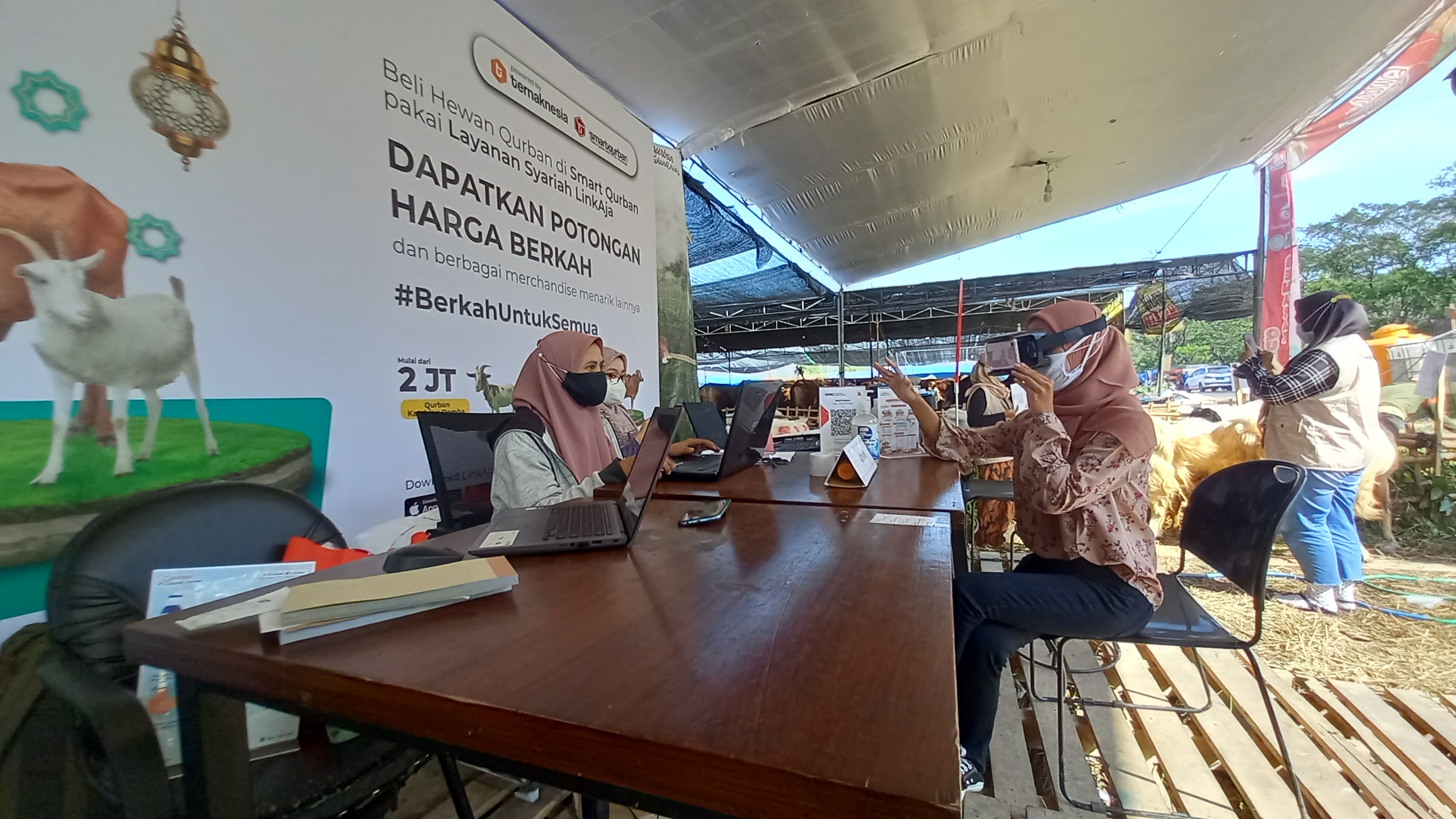 Calon pembeli saat menggunakan aplikasi Ternaknesia sambil menikmati fitur Virtual Tour Kandang