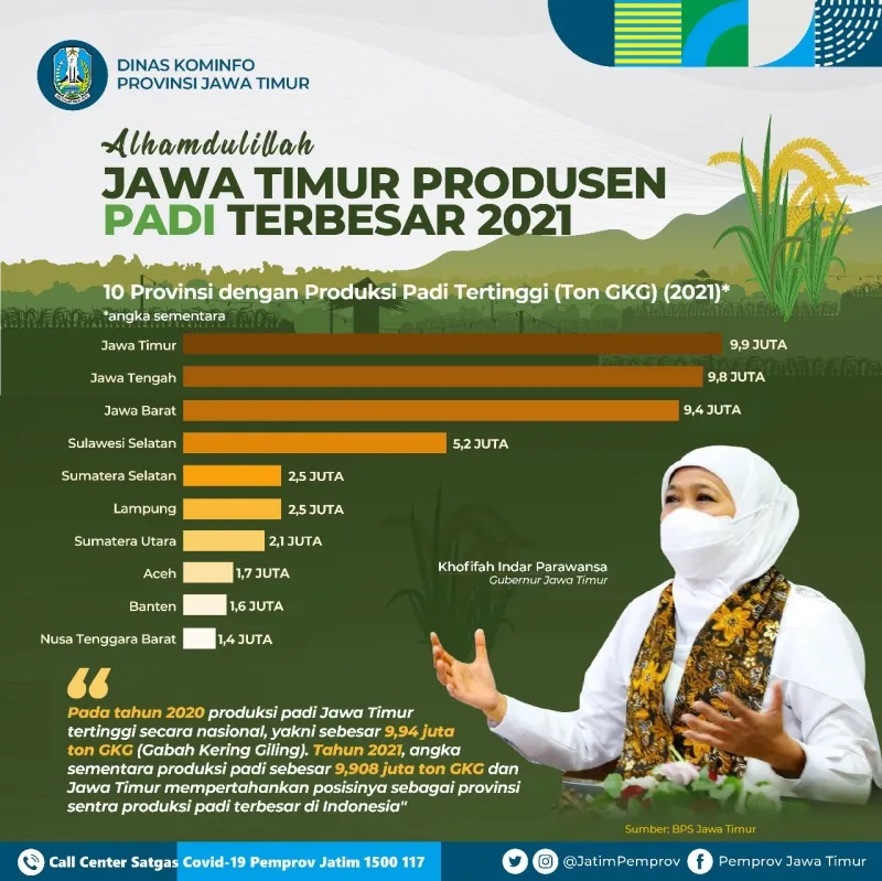 Jawa Timur kembali sebagai Penghasil Padi Terbesar di Indonesia