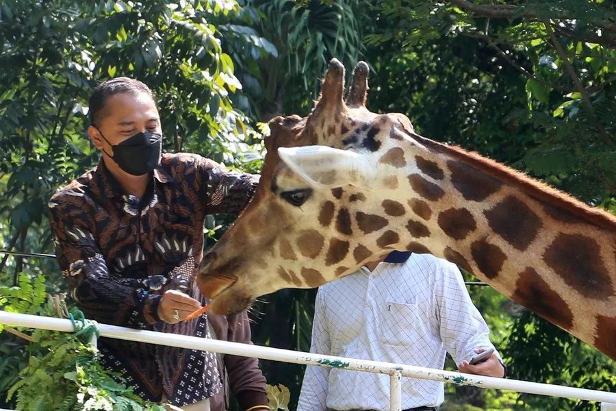 Rangkul berbagai Pihak, Wali Kota Eri akan Tata Ulang KBS Surabaya