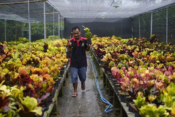 Difasilitasi Mas Dhito, Puring Kediri mampu Bersaing dengan Thailand