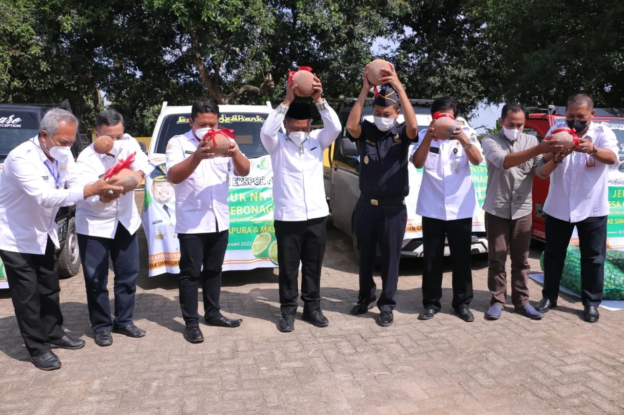 Gresik Luncurkan Ekspor UMKM Jeruk Nipis Ujung Pangkah ke Malaysia dan Singapura