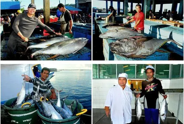 Menteri Kelautan Perikanan: Potensi Hasi Laut Indonesia Timur 3,9 juta Ton senilai Rp117 Triliun
