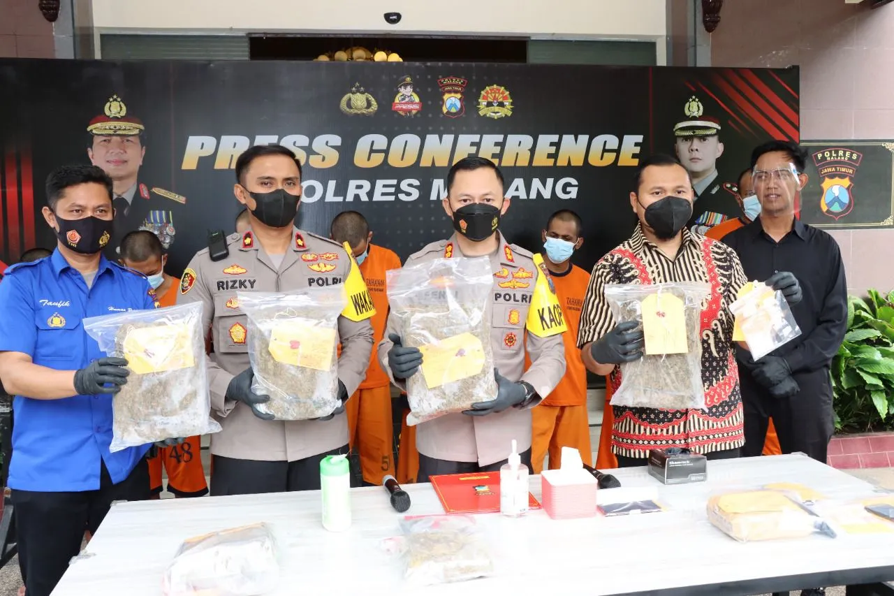 Polres Malang Tangkap Pengedar Shabu dan Ganja Jaringan Malang - Sumatera