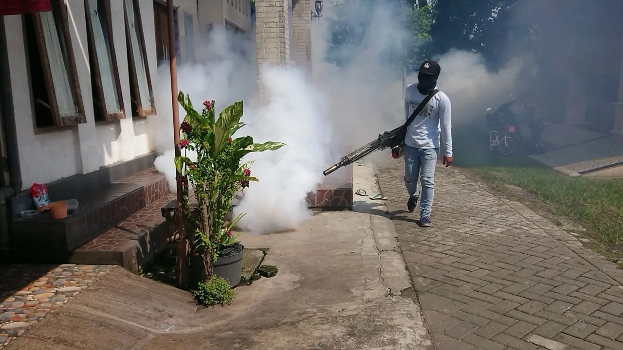 Belasan Orang Terkena Chikungunya, Dinkes Lakukan Pengasapan