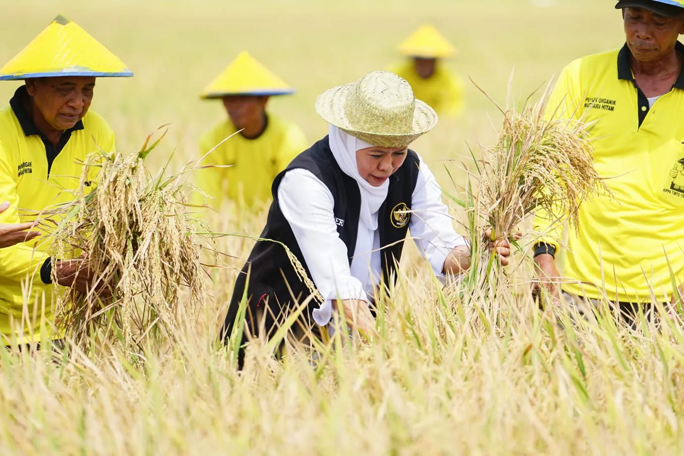 Data BPS Ungkap Petani Milenial Jatim Tertinggi di Indonesia, Khofifah Bilang Begini