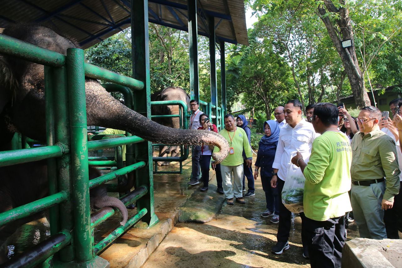 Kebun Binatang Surabaya